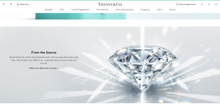 Tiffany & Co. Website