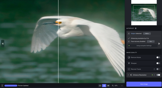 An image of a heron being edited in Topaz AI photo editing software