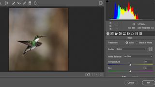 A screenshot from Camera Raw, one of the best Photoshop plugins