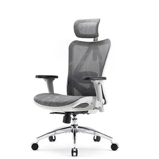 The Sihoo M57 budget chair.