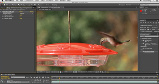 After Effects tutorials: bird feeder