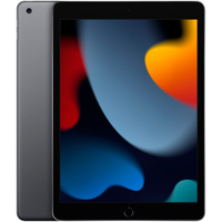 iPad (9th gen, 2021)$329 $249 at Best Buy
Save $80