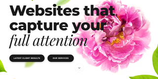 web page that says 'websites that capture your full attention' with a flower in the background