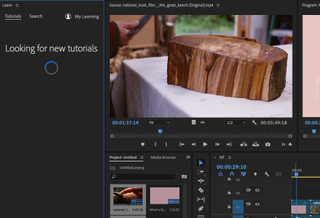 A screenshot from Adobe Premiere Pro in use