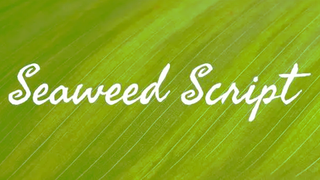 An example of the Seaweed Script font