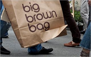 Big Brown Bag