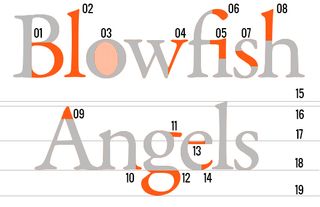 Blowfish angels with annotations 1-19