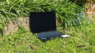 An ASUS Zenbook 14X OLED laptop sitting in a nature scene