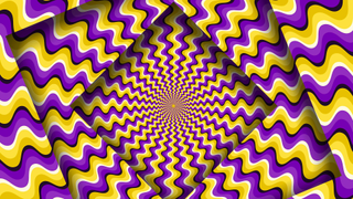 The spinning optical illusion