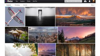 A screenshot from Flickr, one of the best photography websites