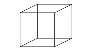 The Necker Cube created by Louis Albert Necker