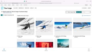 PhotoShelter for Brands AI search