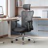 SIHOO M18 Ergonomic Office...