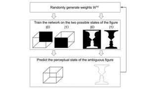 A diagram showing the training of an AI model on optical illusions