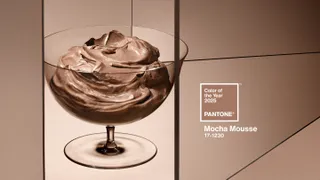 Pantone Mocha Mousse