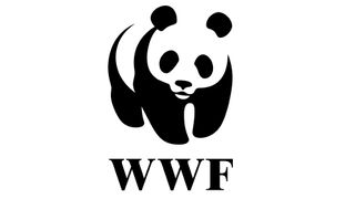 WWF logo from 1986