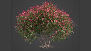 A free 3D model of a flowering plant