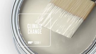 Climate Change paint