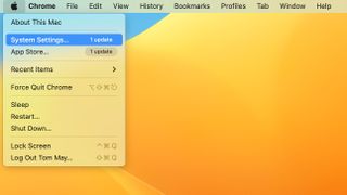 Screenshot showing Apple menu dropdown with System Settings selected