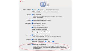 Enhanced Visual Search in Apple Mac settings